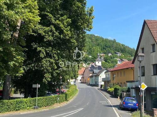 Blick auf Wiesenttal - 