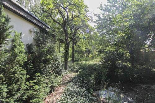 Neben der Laube - 