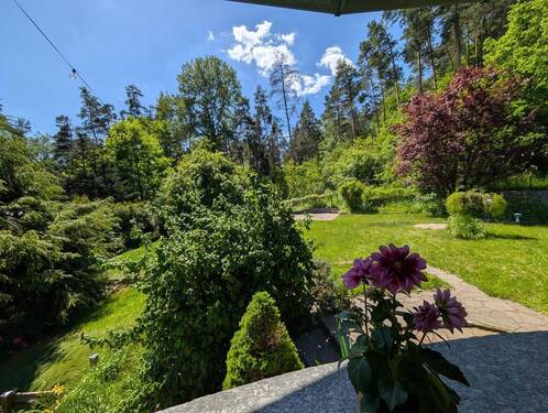 Gartenansicht v. Terasse - 