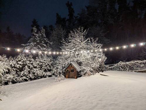 Garten im Schnee - 