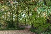Wald - 8 Zimmer Mehrfamilienhaus, Wohnhaus in Bergkamen