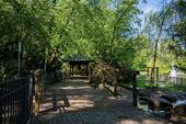 Volkspark - 