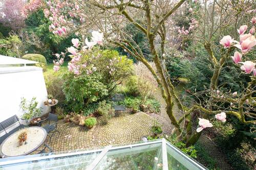 Blick auf die Terrasse und Garten - 
