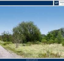 Naturnah leben, entspannt bauen - Ihr Grundstück in ländlicher Umgebung von Suhlendorf - Suhlendorf / Wellendorf