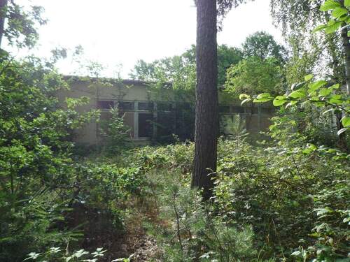 P1170256 - Grundstück zum Kaufen in Plauen