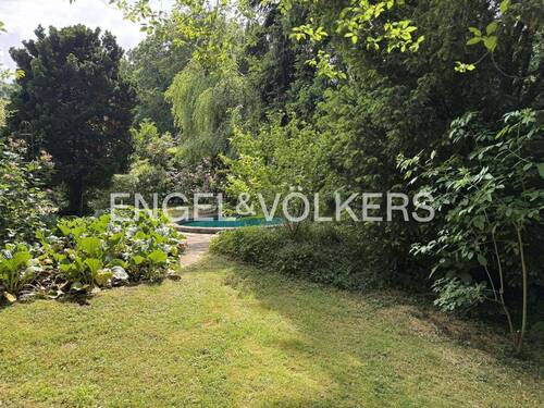 Traumhafter Garten - 