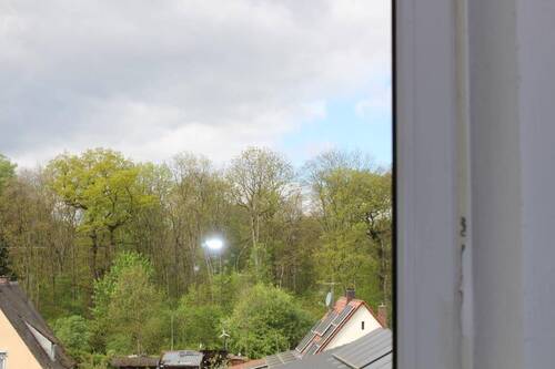 Dachspitz (Bild 2) - 