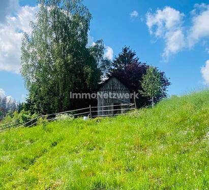 Grundstück Pferdehaus - 