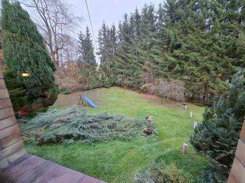 20251112_155400.jpg - 