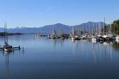 IMG_8485.JPG - 