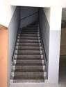 IMG_9157 - 