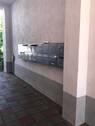 IMG_9153 - 
