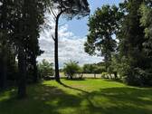 Toller Baumbestand - 