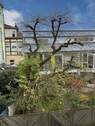 Ausblick - 6 Zimmer Büro in Bamberg
