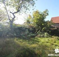 BERK Immobilien - bebautes Bauträgergrundstück + Gartengrundstück in begehrter Main-Lage - Stockstadt am Main