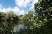 Blick zum See - 