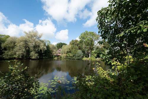 Blick zum See - 
