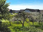 Umgebung - 