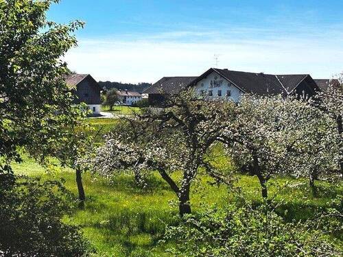 Umgebung - 