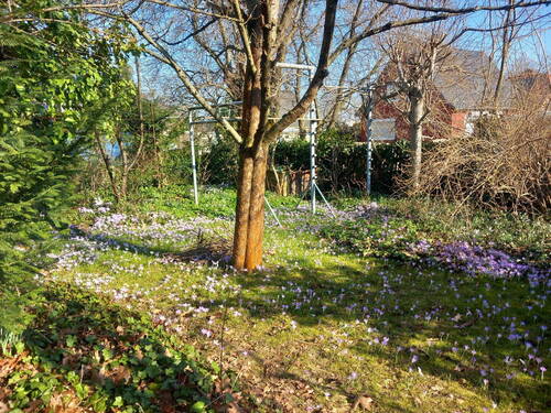 Hinterer Garten - 