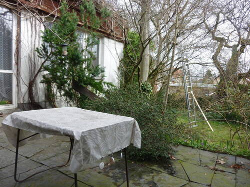 Blick in den Garten - 