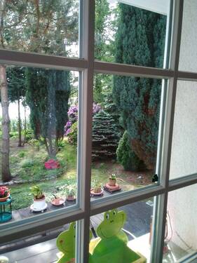 Blick zum Garten (aus dem Haus) - 