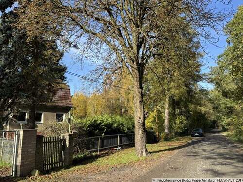 Umgebung des Anwesens - Einfamilienhaus mit 90,00 m² in Rehfelde zum Kaufen