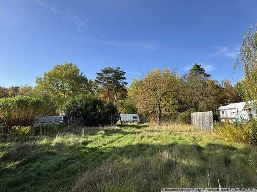 Blick in den weitläufigen Garten - 