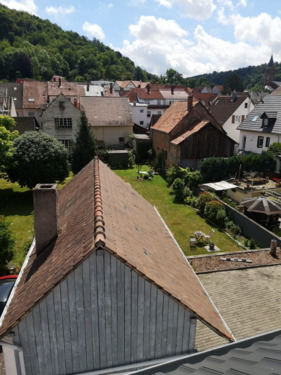 Baugrundstück von West nach Ost_2022.06.25.png - 