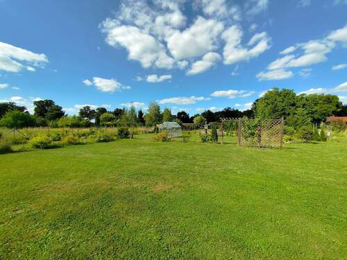 IMG_20250826_153113.jpg - 