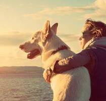 Baugrundstück ca 200 m zur Ostsee Schnäppchenpreis ! - Glowe