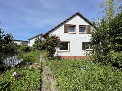 Blick aus dem Garten - 