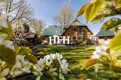 Gartenansicht - 8 Zimmer Einfamilienhaus zum Kaufen in Dingen
