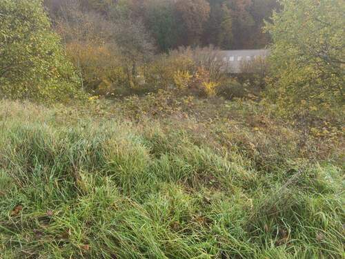 25270_Grundstück (3) - Grundstück in Biedenkopf