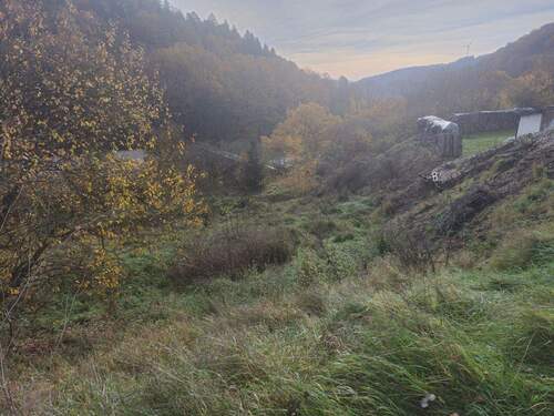 Grundstück - Grundstück zum Kaufen in Biedenkopf