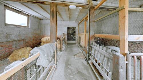 Schweinestall - 