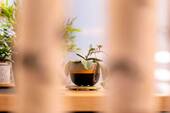 Sonstiges - 