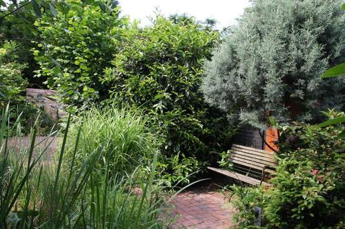 Eine der mehreren Terassen - 