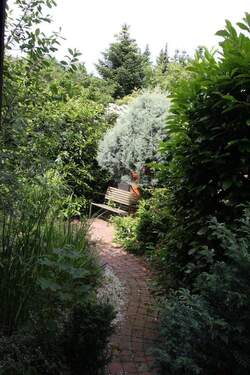 Weg zum Garten - 