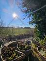 Ostaussicht - 