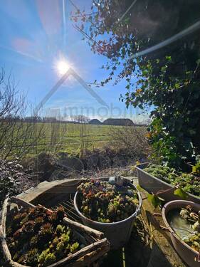 Ostaussicht - 