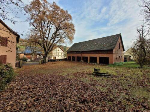 20251114_112412.jpg - 