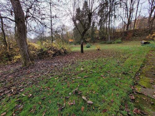 20251114_105117.jpg - 