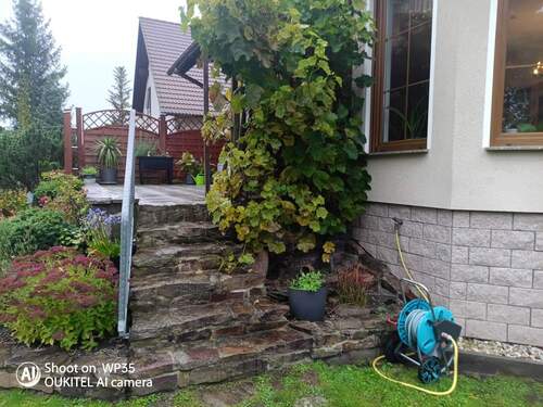 Aufgang zur Terrasse - 