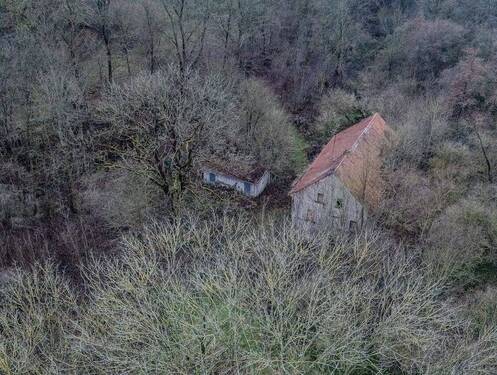eingebettet im Wald - 6 Zimmer Einfamilienhaus zum Kaufen in Eisenberg