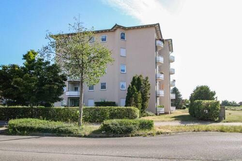 Seitenansicht - 