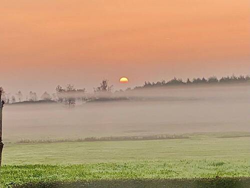 Sonnenaufgang aus dem Garten - 
