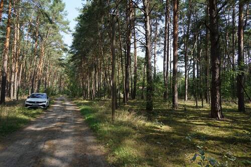 Auf dem Weg vorne (1).JPG - 