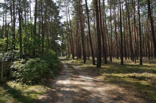 Auf dem Weg vorne (8).JPG - 
