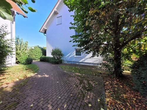 20250920_145055.jpg - 